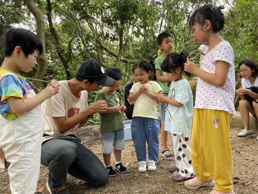 龙岗区教育在线，引领创新培育未来之星，打造教育新篇章