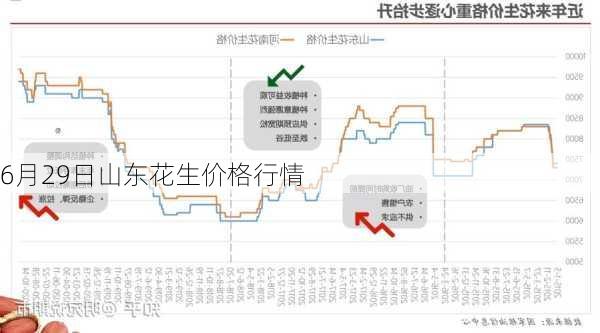 山东花生米最新收购价动态解析与趋势展望